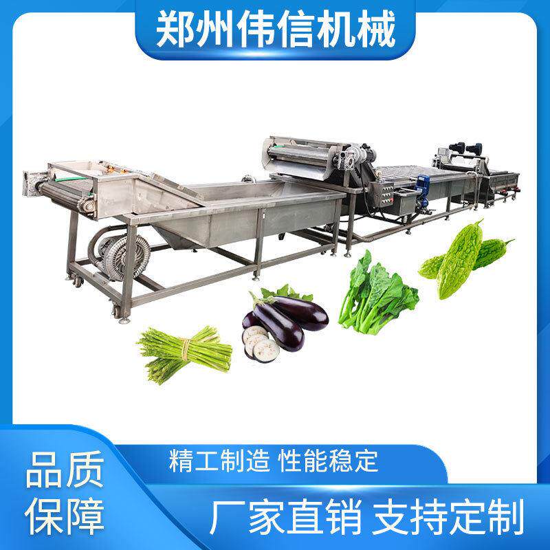 果蔬气泡清洗机气泡式蔬菜预处理清洗设备定做