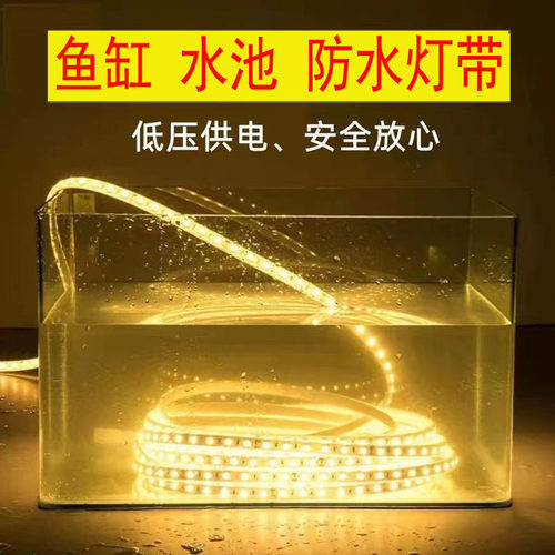 鱼缸水缸灯带水底灯条led低压安全12v24v实心灌胶防水可泡水家用