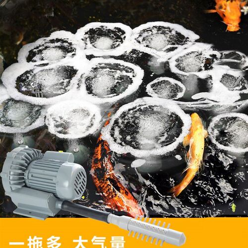 海利鼓风机大功率氧气泵鱼塘养鱼卖鱼大气量增氧泵工业用220v养殖