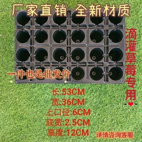 草莓专用育苗穴盘 草莓滴灌带穴盘 滴管盘加深加厚 环保无味 包邮