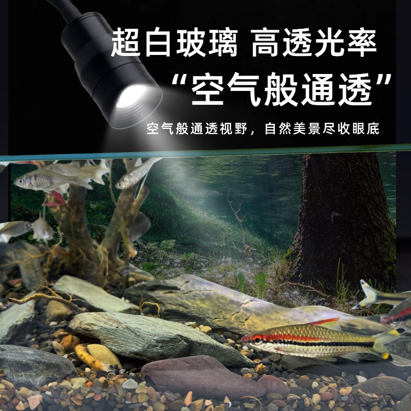 XIYU谿屿溪流缸全套造景水族家用客厅桌面南美风超清加厚生态鱼缸