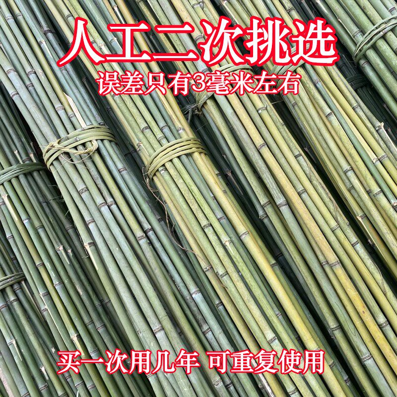 竹竿小竹杆菜园搭架子篱笆栅栏菜旗杆阳台植物豆角黄瓜爬藤花架