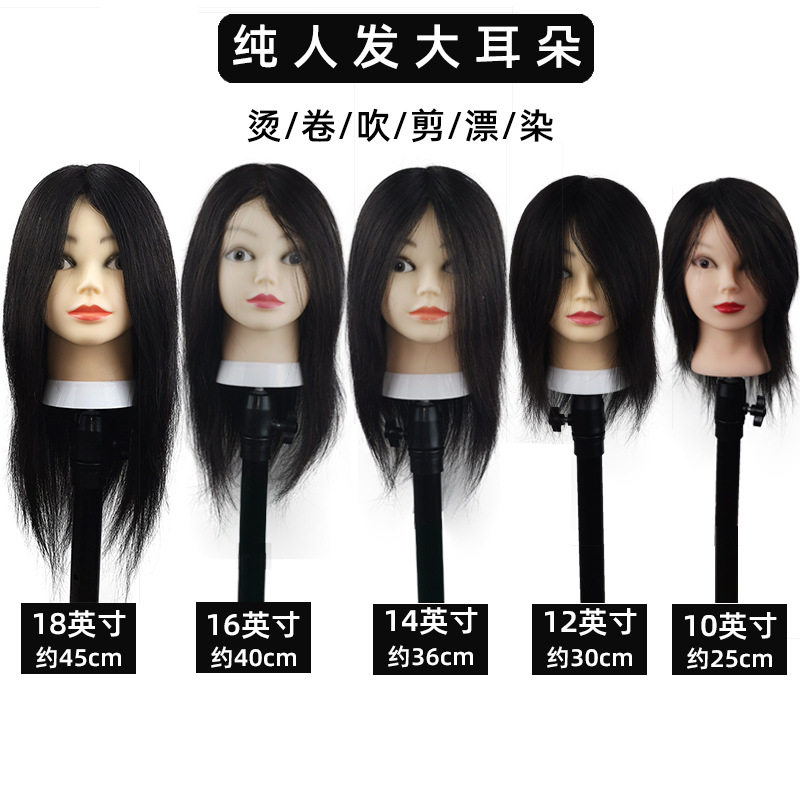 假人模型头发练习全真人发教习头美发假发编发吹剪烫染漂模特头模