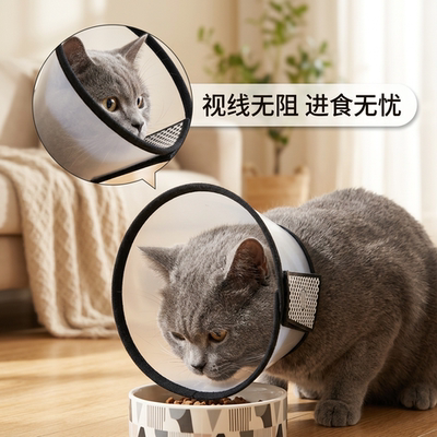 猫狗防舔咬绝育伊丽莎白圈