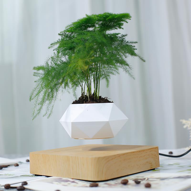 磁悬浮花盆简约创意客厅招财摆件栽家居diy多肉植物科技礼物漂浮