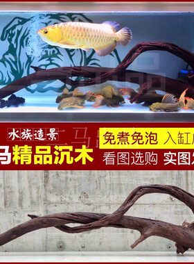 二马1.5m以上沉木超大型大号精品鱼缸造景精品南美鱼缸拱桥型免煮