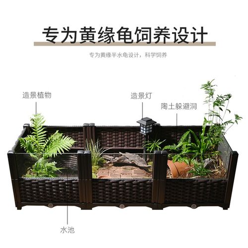 黄缘乌龟专用养殖箱安缘闭壳龟半水龟玻璃生态环境造景植物饲养缸