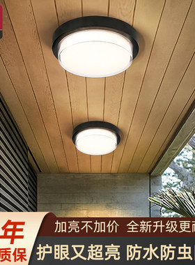 户外吸顶灯防水超亮防蚊虫庭院人体感应室外屋檐中山灯具阳台顶灯