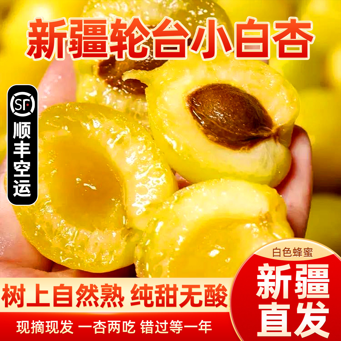 正宗新疆轮台小白杏应当季新鲜孕妇水果库车纯甜杏子红杏顺丰空运