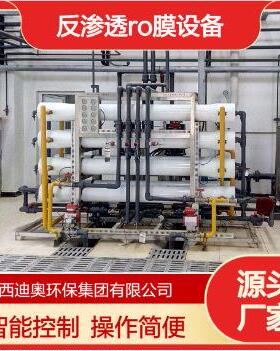 反渗透ro设备 食品级脱机 脱盐智能控制 水质净化处理设备