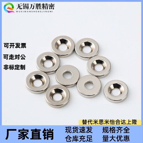 BLS65-A8/A10/A12/A15/A20/25-T2/T3/T4/T5 BLS66 螺栓固定型磁铁