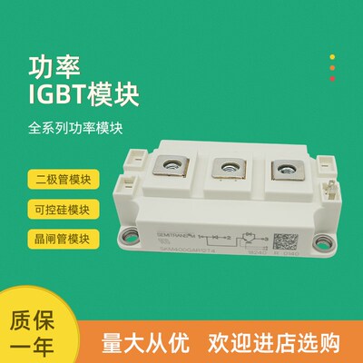 全新功率IGBT模块SKM400GAR12E4 SKM600GAE12E4 SKM150GAR12T4G