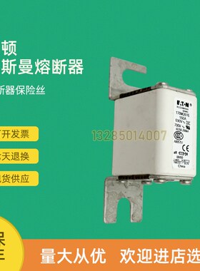 全新快速熔断器保险170M2069 170M2070 170M2071 170M2072