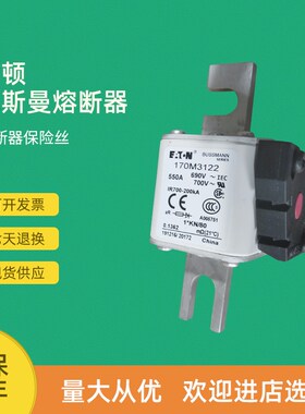 全新快速熔断器保险170M3111 170M3112 170M3113 170M3114