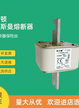 全新快速熔断器保险170M6199 170M6200 170M6201 170M6202