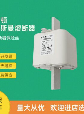 全新快速熔断器保险170M6084 170M6085 170M6086 170M6087