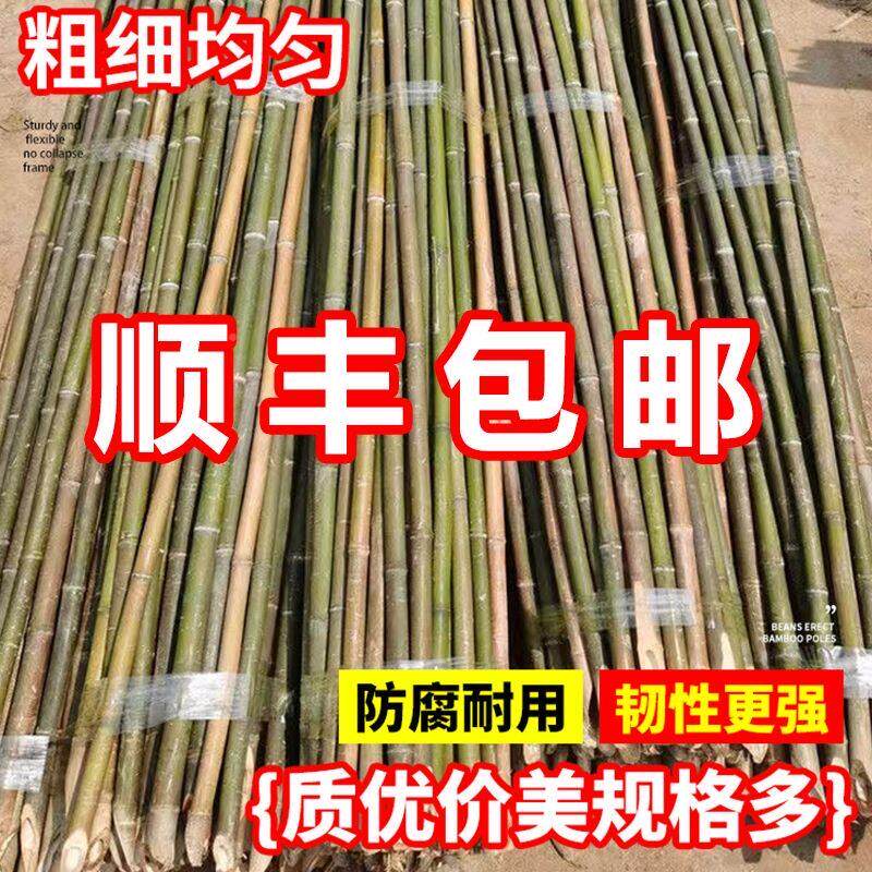 菜竹竿菜搭架蔬黄番茄豆角架007杆园竹篱笆栅栏小竹瓜子细竹竿葡