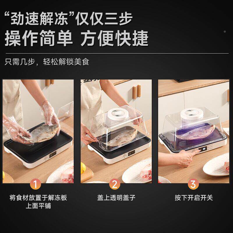 多功能家用化保解冻器解冻快盘解冻机冻神器商用速鲜冻肉解SD-D72