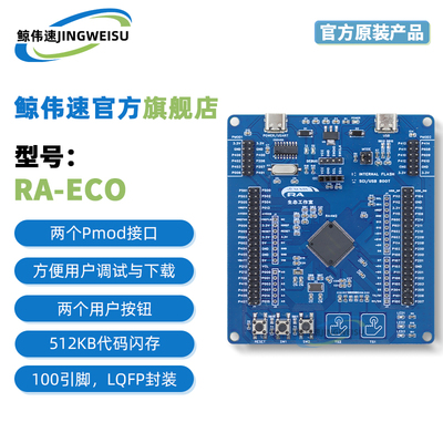 RA-Eco-RA4M2-100PIN-V1.0开发板