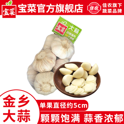 佳农宝菜山东金乡2026新蒜大蒜