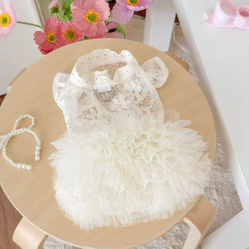 夏季凉感狗狗衣服薄款蕾丝蓬蓬裙