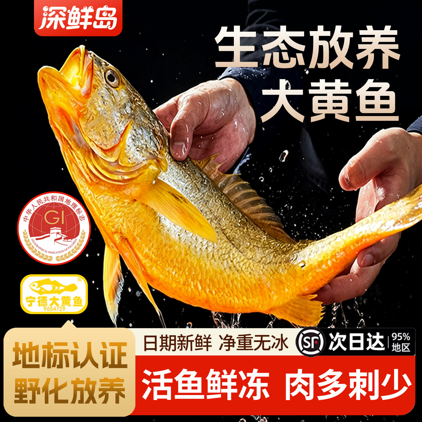 深鲜岛黄花鱼活冻锁鲜
