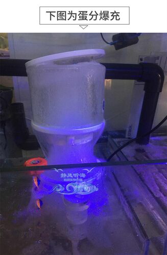 延时插座 蛋分停电延时启动定时保护插座防止蛋分爆冲五孔86型
