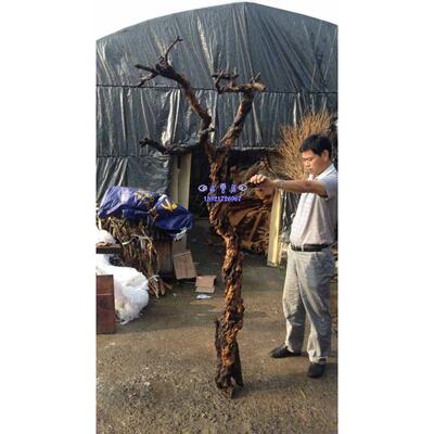 干树枝干枝树干树桩木桩天然树杆插花装饰个性枯树创意造型挂件