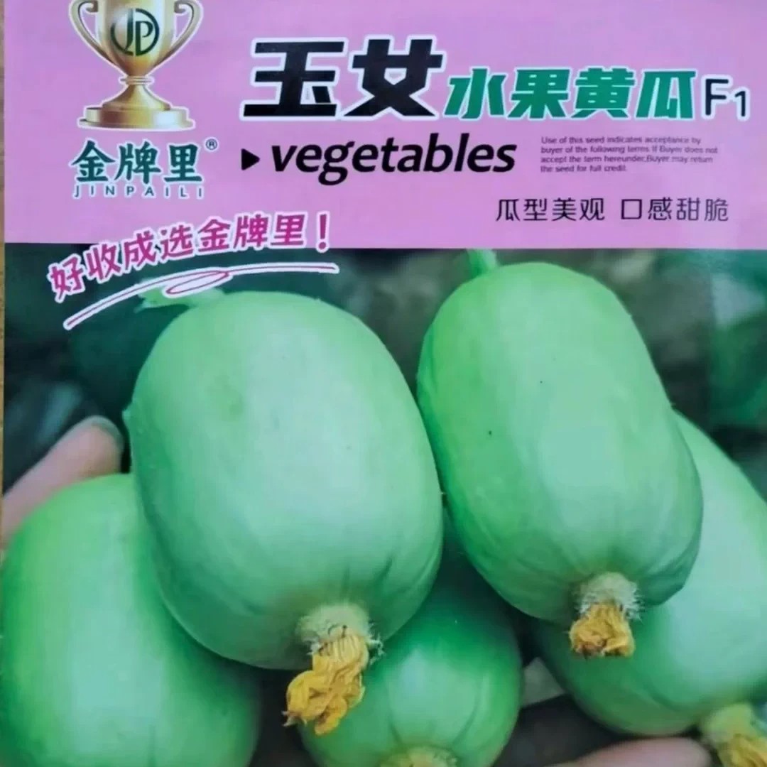 【下单立减50】爆拇指黄瓜种子金童玉女小黄瓜种籽阳台盆栽蔬菜ZS