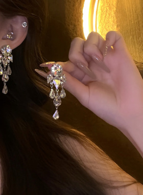 名媛千金~精致高级感满钻锆石水滴流苏耳钉女气质小众设计感耳环