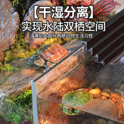 乌龟缸家用生态造景超白玻璃饲养箱半水龟黄缘专用陆两栖混养鱼缸
