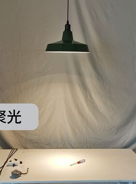 店铺吊灯工业风灯具网红色灯罩y铁怀旧烧烤火锅店专用灯带射灯聚