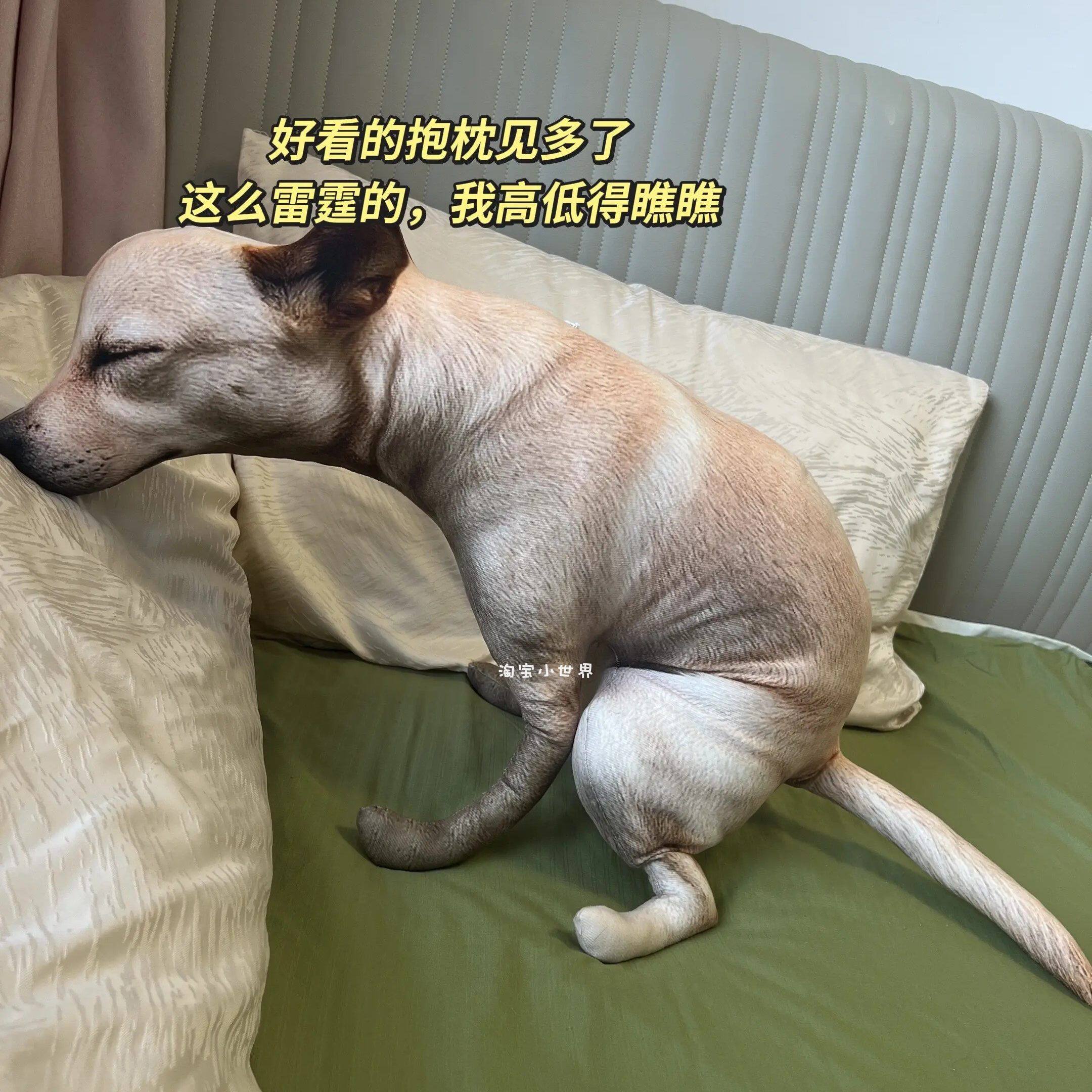 可爱仿真母鸡毛绒公仔玩偶搞怪可爱拉屎狗毛绒玩偶仿真狗狗抱枕