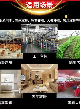 动物崽养殖暖升DEE风机电幼子恒温热风炉东北地室内快速温暖风区