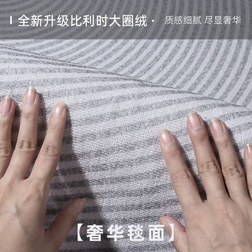 地毯客厅2024新款沙发垫茶几高A级轻奢天津免洗可擦卧室地毯大面