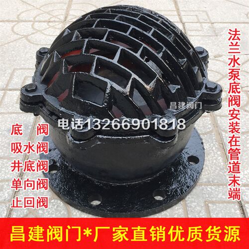 H42X法c兰铸铁底阀 水泵单向阀止回阀莲蓬头DN50 80 100 150 200