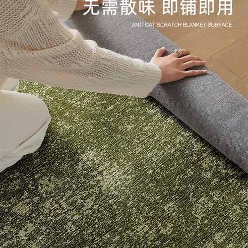 防水防污客厅地毯2025新款无障碍豪华高H端沙发卧室床头毛毯家居