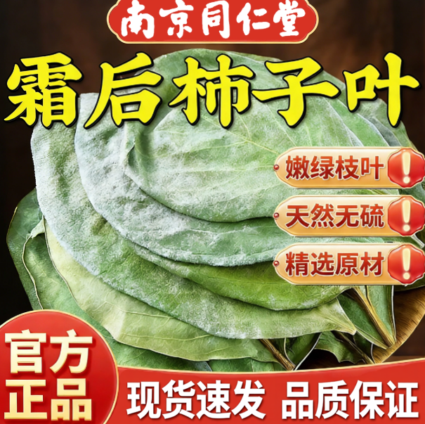南京同仁堂柿子叶降霜后茶干柿子叶泡水喝官方正品