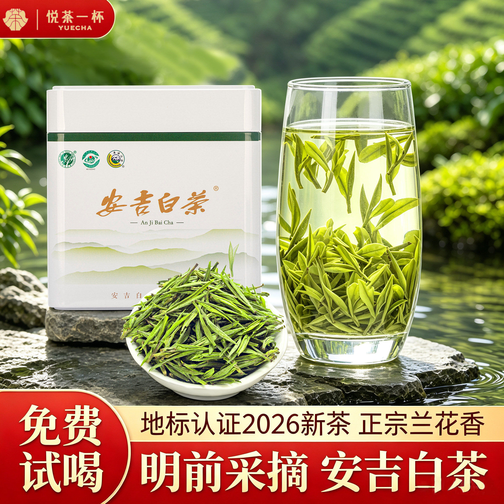 安吉白茶2026新茶明前绿茶茶叶自己喝送人官方旗舰店正品礼盒包装图片