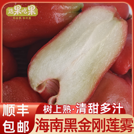 【顺丰冷运上门】海南当季黑金刚莲雾低糖新鲜自然生长水果大果