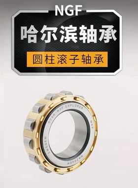 哈尔滨 进口 圆柱滚子轴承 RN 220 221 222 224 226 228 EM ngf