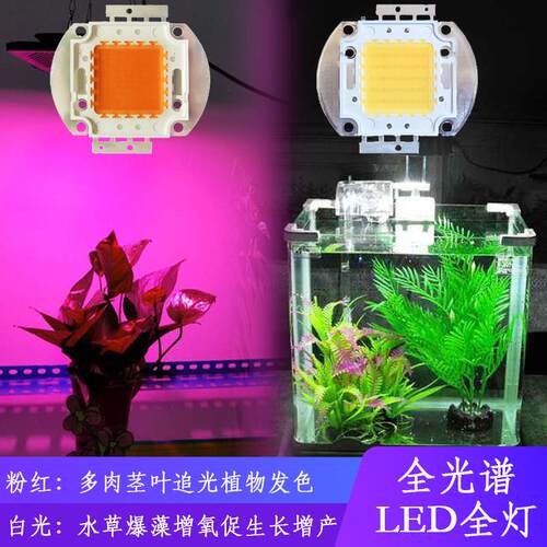3W50W全光谱白光LED灯珠植物生长灯水草灯鱼缸水族箱灯光源芯片