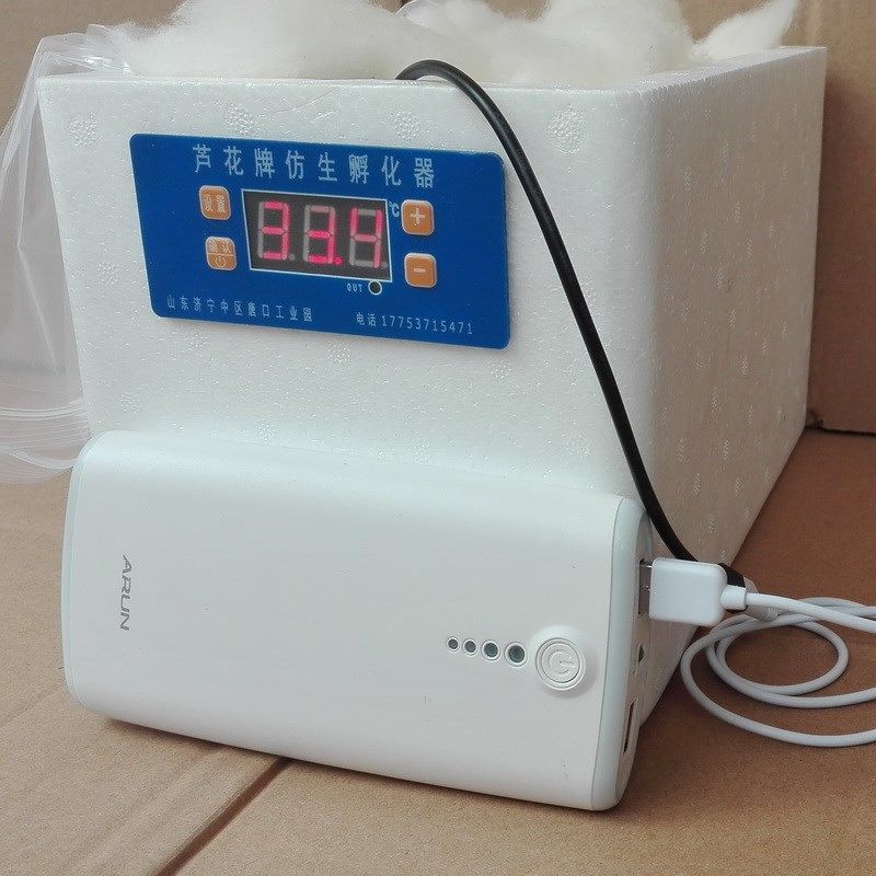 自动控温小鸡鹦鹉孵化器育雏保温小型家用鸟蛋智能保温箱孵化箱