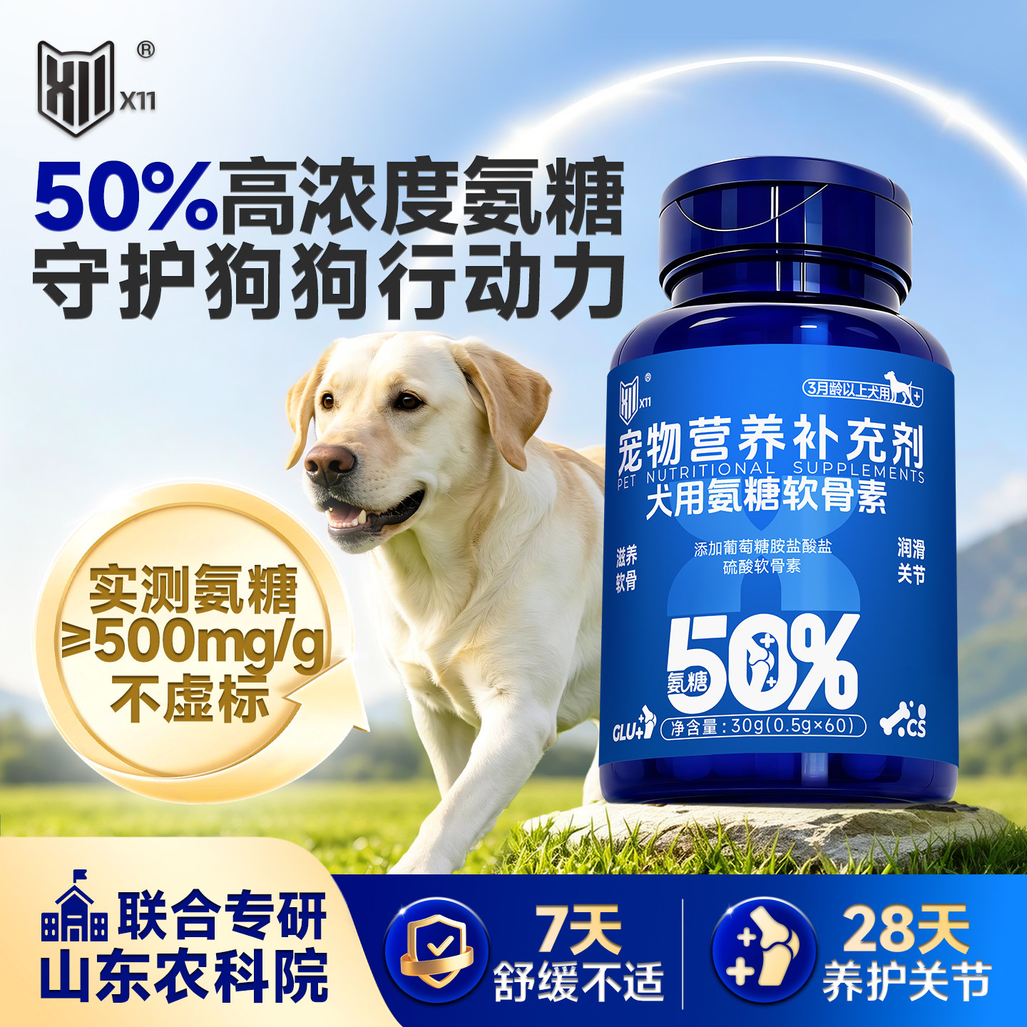 X11高浓氨糖软骨素关节养护图片