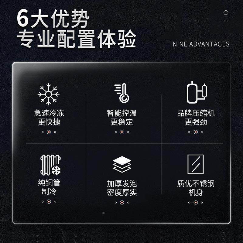 商/用推车式速柜容量冰箱速冻冻插盘冰柜风大冷低温急冰冻柜速冻