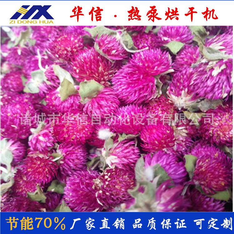 诸城华信空气能热泵烘干机设备 千日红花茶烘干机热风循环干燥房
