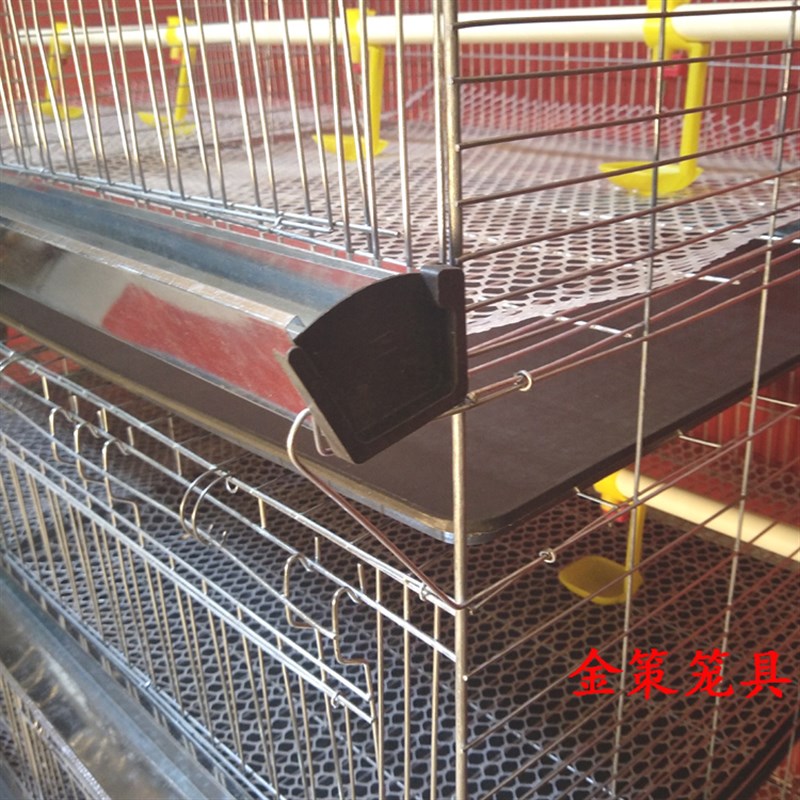 加粗加密育雏笼小鸡笼雏鸡笼4层一体式弹簧门养殖繁殖鸡鸭苗笼子