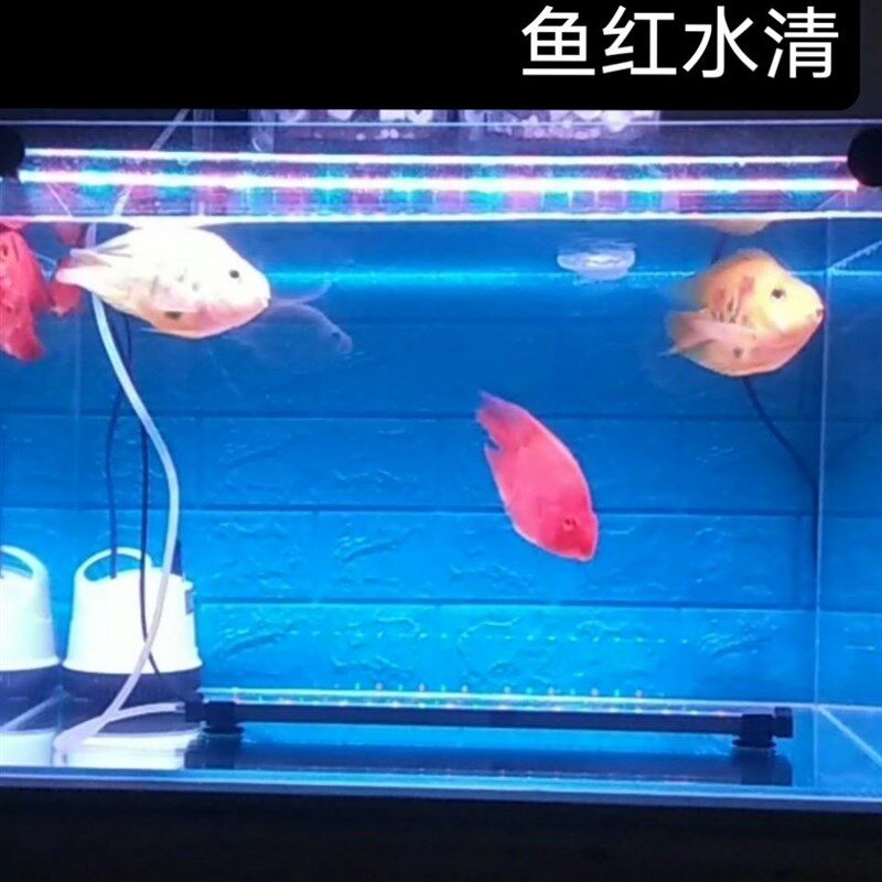 鱼缸灯led灯防水超亮水族灯开关变色双排灯珠蓝白增艳节能照明灯