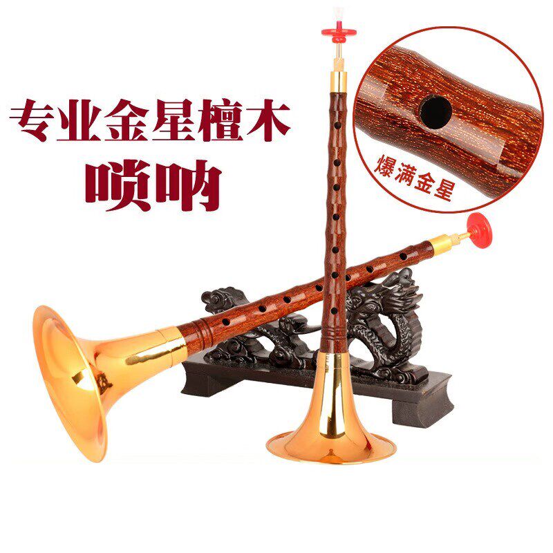 宏艺凤鸣金星檀木唢呐乐器专业D调初学者全套成人优选民间喇叭碗
