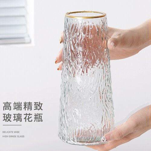 龟背竹水培植物盆栽室内客厅好养花卉净化空气办公室客厅绿植花